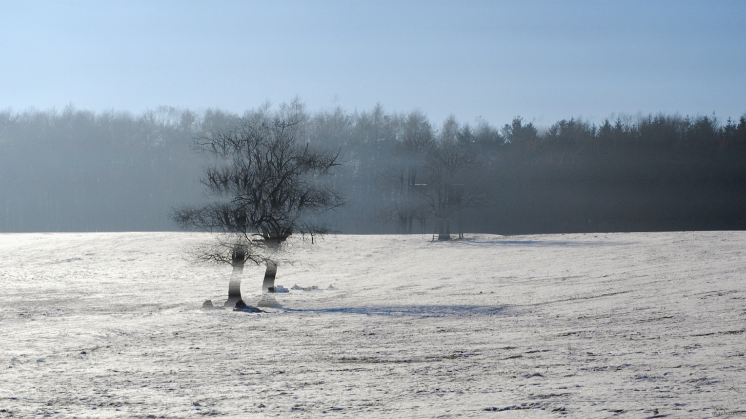 Images/Lettschnee 250.jpg